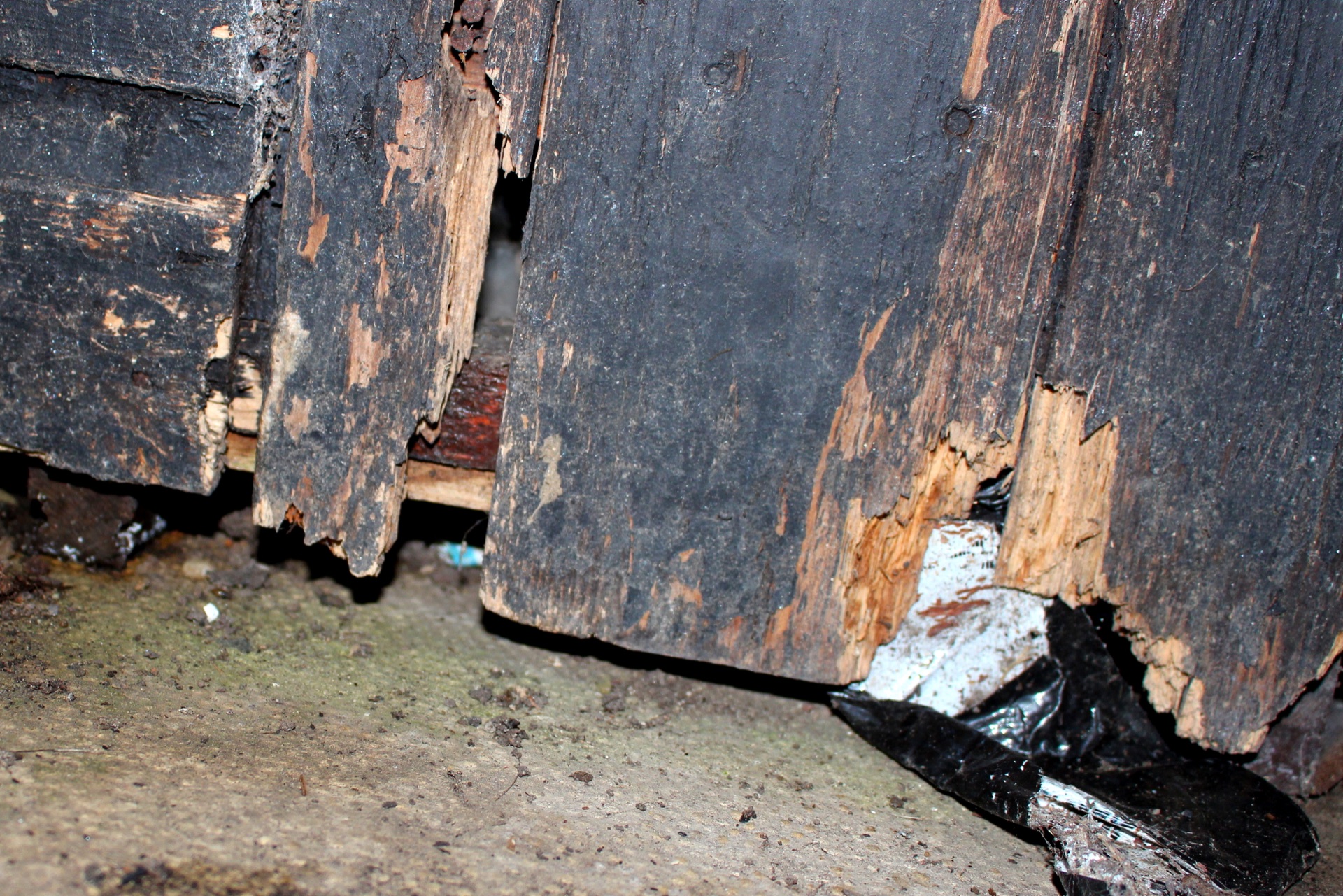 Beschädigtes Holz als Beispiel für einen möglichen Schädlingsschaden an Bauteilen